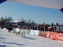 Koiravaljakkokisat 